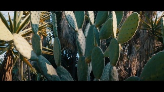 Gianni Brezzo x  [Official Music Video]