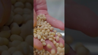 Here's how this 400-year-old candy shop in Japan makes kyogashi. #wagashi #Japan #confections
