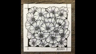 Easy meditative drawing - Cosmos Flowers - #inspiration #Drawing #relaxation #positivity #withme