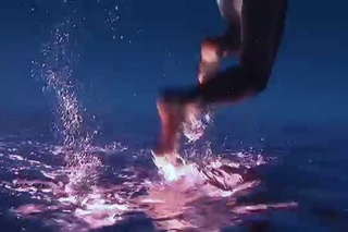 Buceo a pulmn libre asombroso & The Ocean Brothers