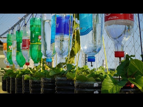 Tái chế hàng loạt chai nhựa làm hệ thống tưới nước, Recycle plastic bottles for watering