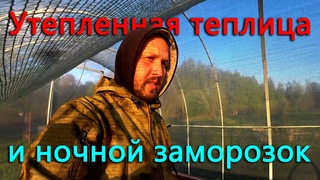 Спасет ли утепленная теплица рассаду от ночного заморозка? Посетили мероприятия посвященные 9му мая.