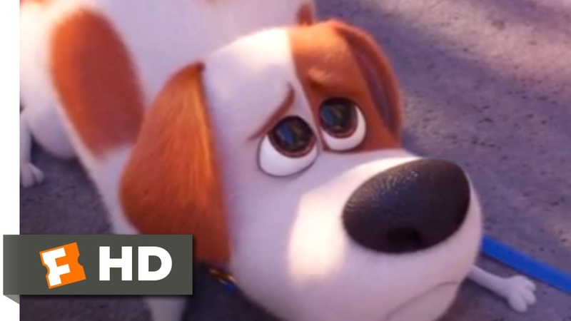 The Secret Life of Pets 2 Max Goes to the Vet, Fandango