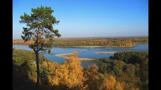 Идем в барнаульский Дендрарий