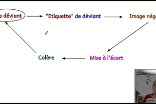 Déviance et délinquance. Notions de sociologie