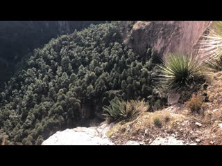 Chihuahua, Mxico