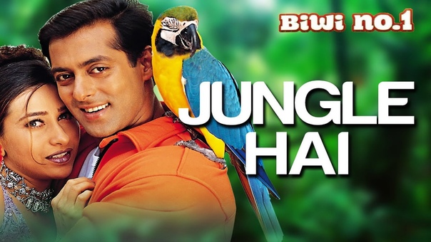 Jungle Hai Aadhi Raat Hai, Salman Khan Karisma Kapoor, Anu Malik, Biwi No 1, 90s Hindi