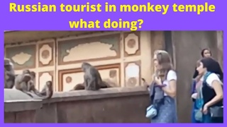 Russian tourist in monkey temple what doing?