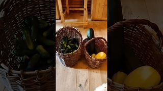 ПОЧЕМУ МУЖЧИНЫ ТАКИЕ ЖЁСТКИЕ ЧТО ЕМ В СЕРЕДИНЕ ЛЕТА