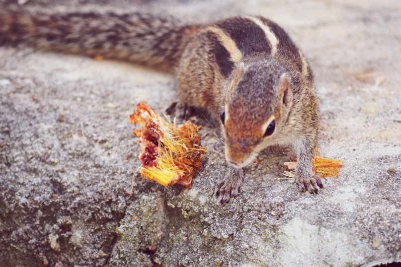 Оксана Яшина | Нижний Новгород