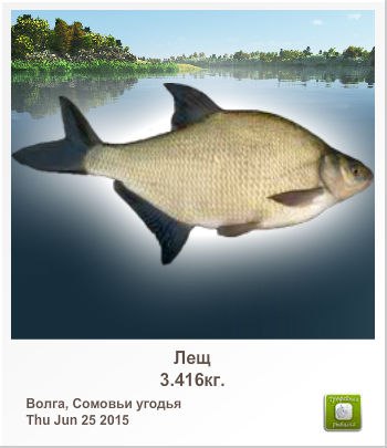 Артем Киселёв ♔ King_ARTY ♔ | Коркино