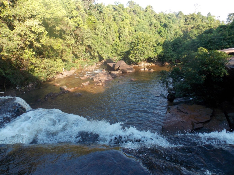 Алексей Игнатов | Ефремов