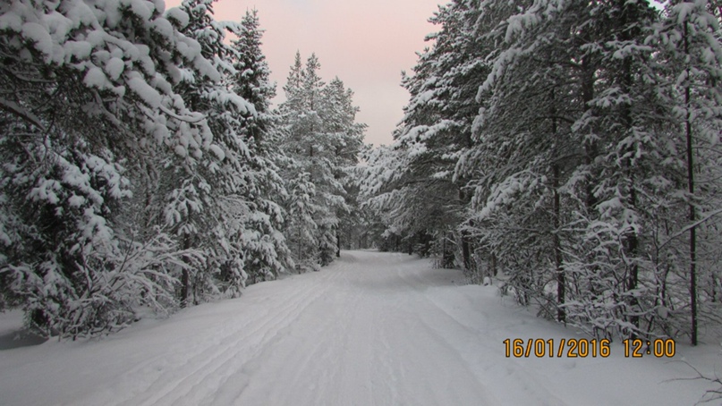 Елена Федотова | Кандалакша