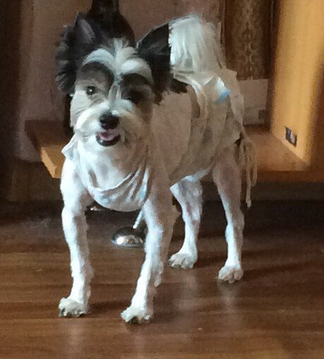 Инна Кузьмина | Москва