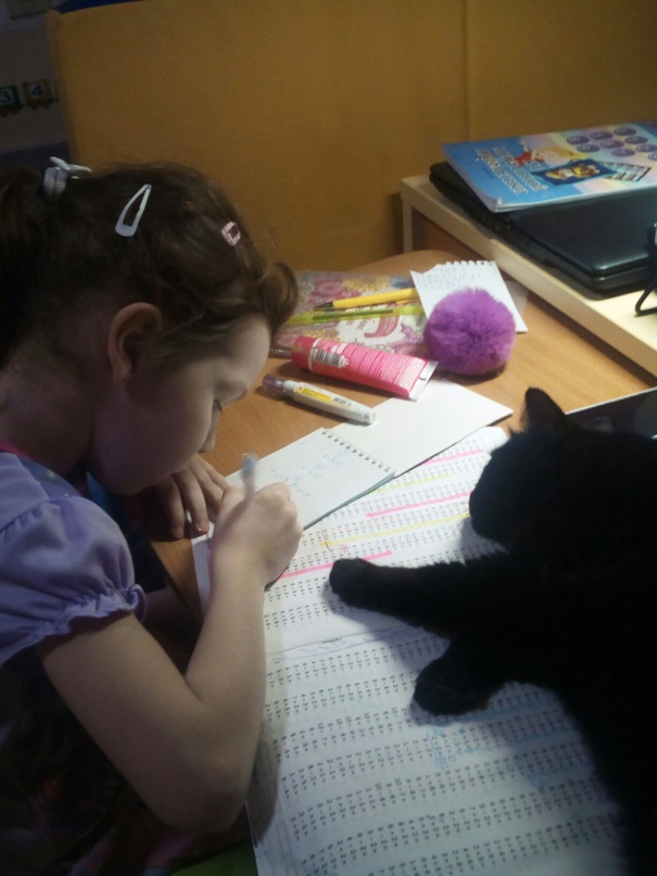 Юлия Колесова | Сыктывкар