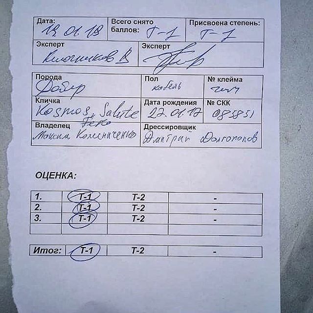 Алина Царёва | Алматы