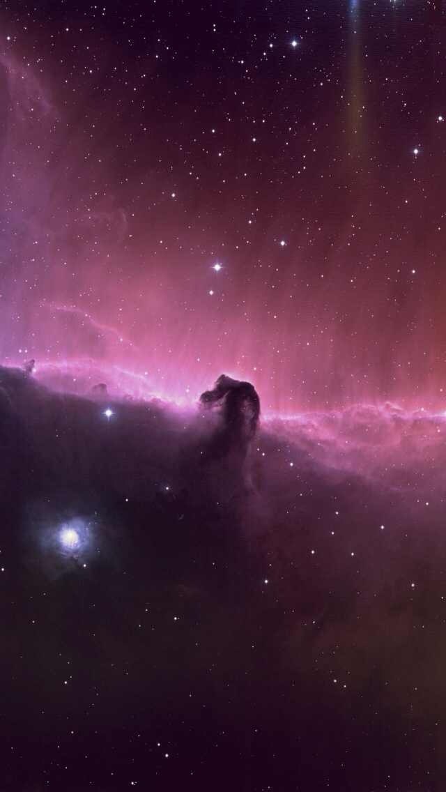 Александр Рагулин | Москва