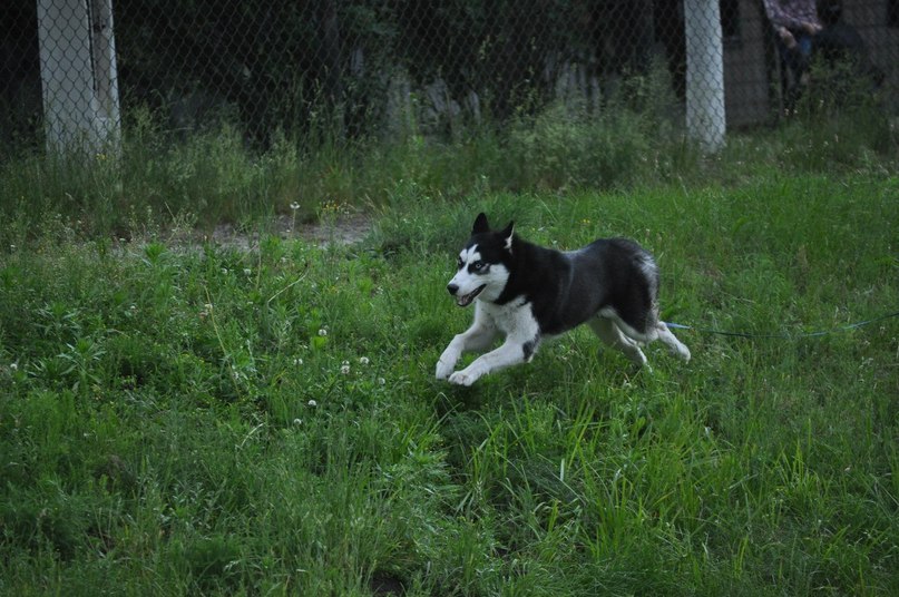 Луиза Иванова | Череповец