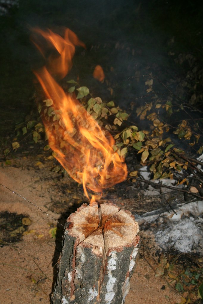 Ирина Елизарова | Домодедово