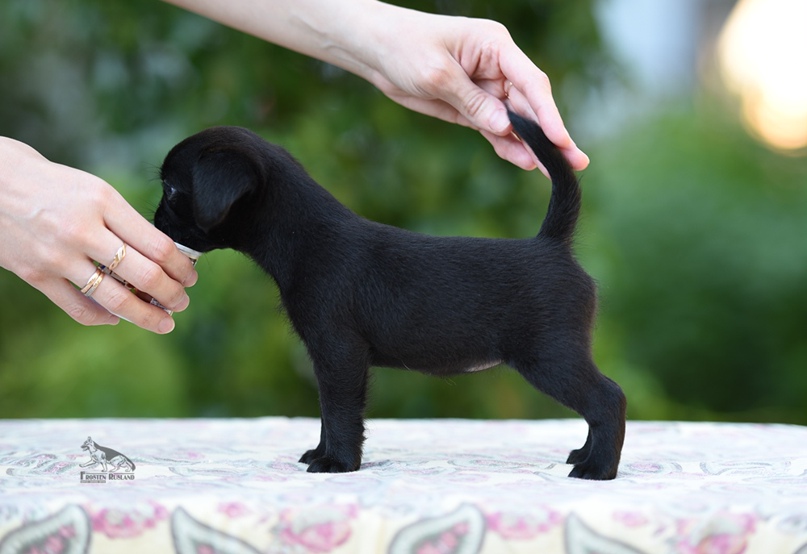 Наталья Шклярова | Москва