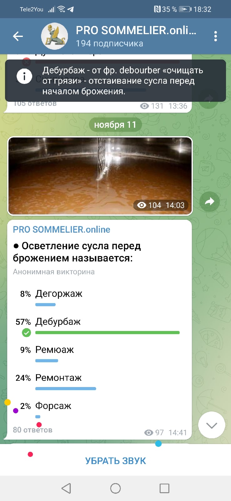 Алина Алина | Санкт-Петербург