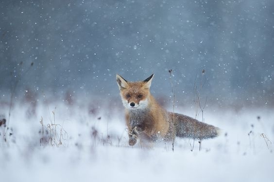 Доброго утра, Никольск❤