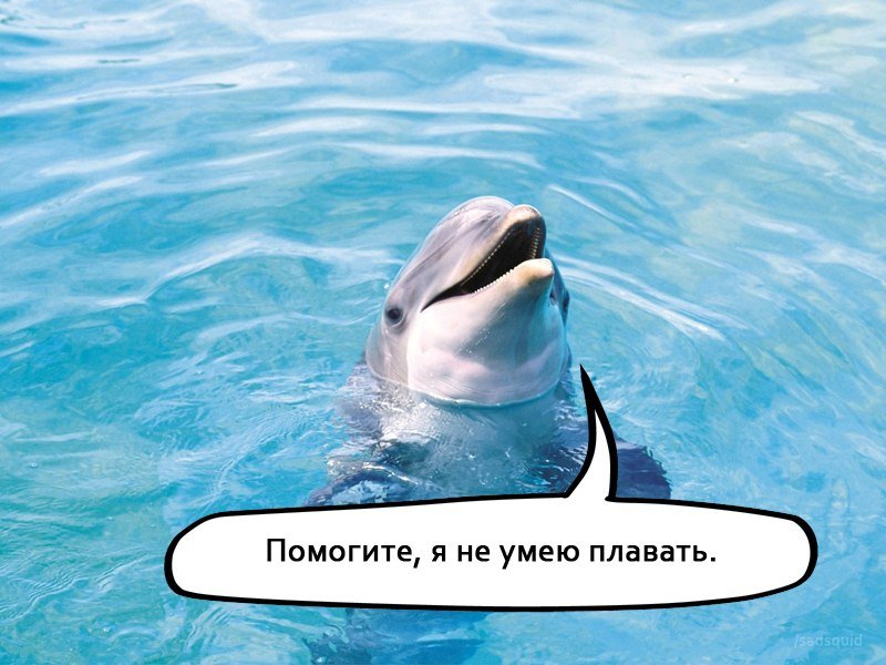 Владимир Юрков | Санкт-Петербург