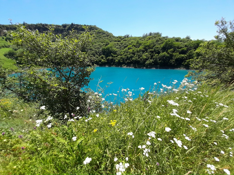 Татьяна Басова | Кострома