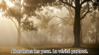 #2 - I La Posie I - Le Mdia en 442 - Marcel D - Bob Marley - Reggae