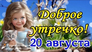 Доброе утро! Солнечного дня! Береги себя! Утренний Позитив для Друзей!