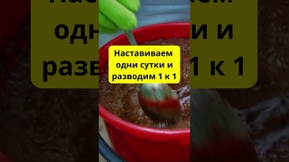 Рабочий Способ Борьбы С Морковной Мухой Для Богатого Урожая Крупной, Сочной Моркови! #shorts