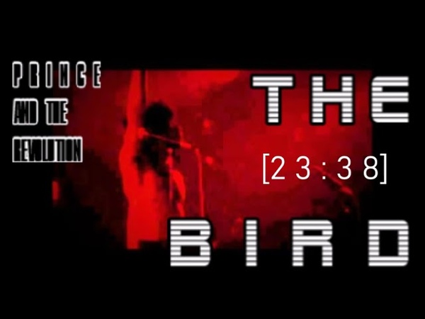 P R I N C E T H E B I R D Rehearsal jam 1983
