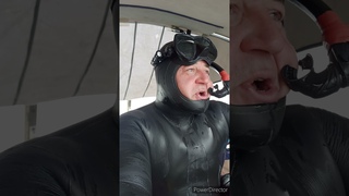 РЕКОРДНЫЙ СОМ