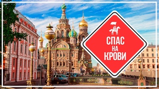 KudaGo Петербург: Храм Спаса-на-Крови