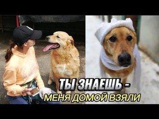 ЭТА НОВОСТЬ ОБРАДУЕТ ВСЕХ 🤩 ФИОНА ДОМА 🏡 УРААААА 🙏🙏🙏