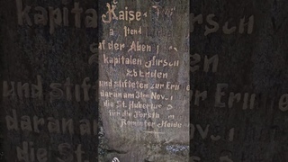 Entdeckung in der Rominter Heide