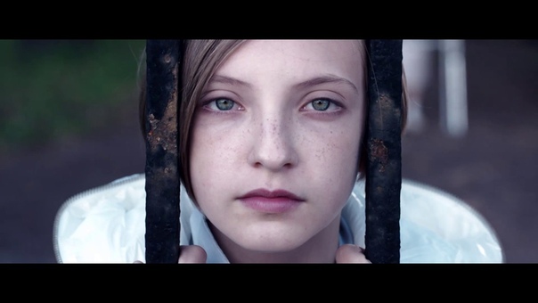Птица (2017)