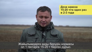 Поверхностное улучшение пастбищ