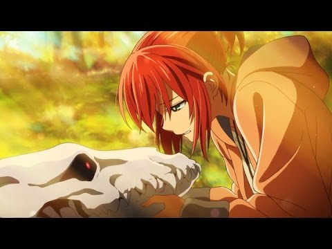 The Ancient Magus