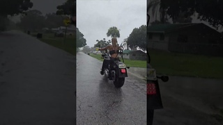 We ride! Rain or Shine! #harleywomen #motorcycleriding #rainride #ftw #bikers #motolifebikers