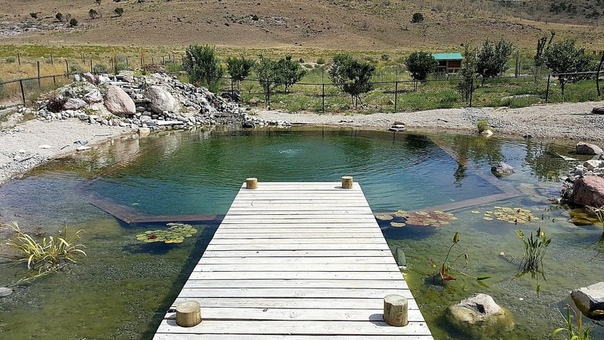 Natural Swimming Pool Construction ( Part