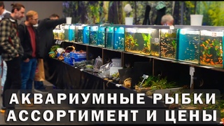 Птичий Рынок Выставка в Германии! Аквариумные рыбки, растения, корма, оборудование и новинки!