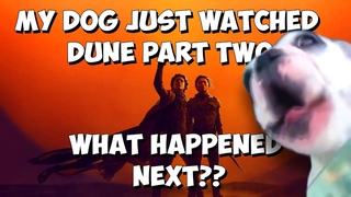 My dog just watched Dune Part Two