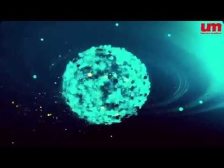 Теренс МакКенна — Логос для чистых сердцем