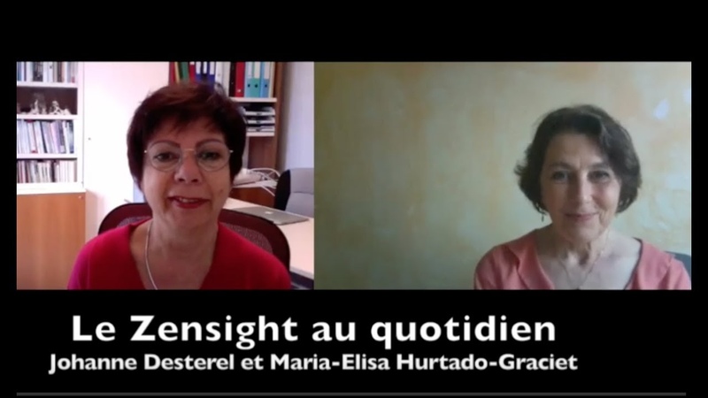 Le Zensight au