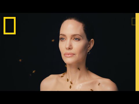 Nat Geo Celebrates World Bee Day with Angelina