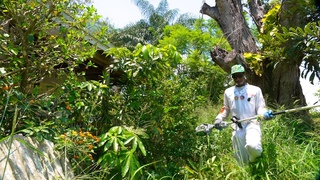 Owner CAUGHT Me Cutting His Lawn Without PERMISSION!  FREE YARD TRANSFORMATION!!