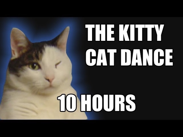 The Kitty Cat Dance 10 HOURS