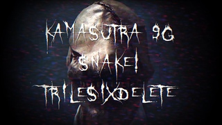 Перевод svtxde: SNAKE! Prod. triplesixdelete