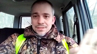 Охота на вальдшнепа в тульской области. сезон 2023. первый трофей добыт.